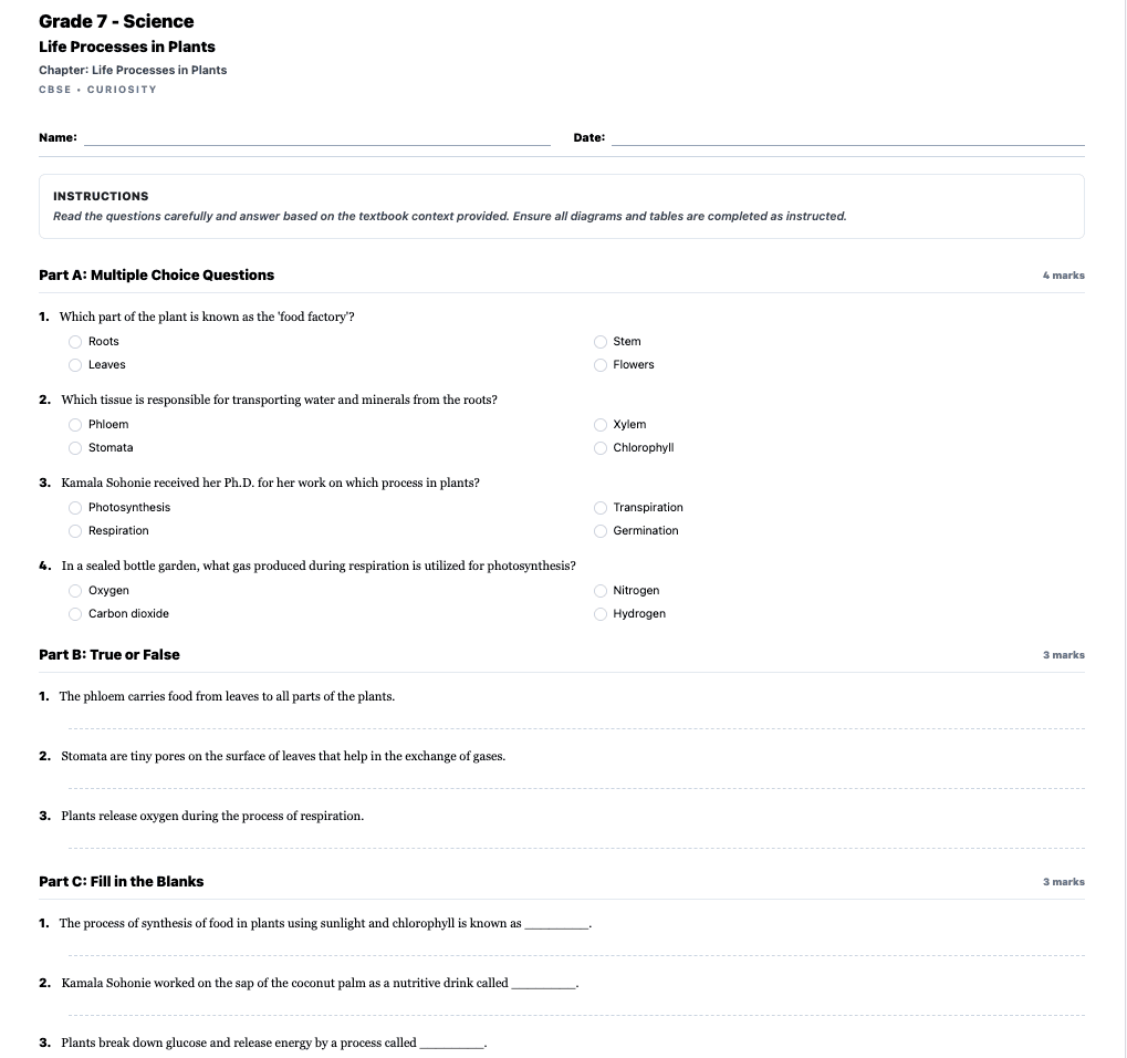 Generated worksheet output preview.
